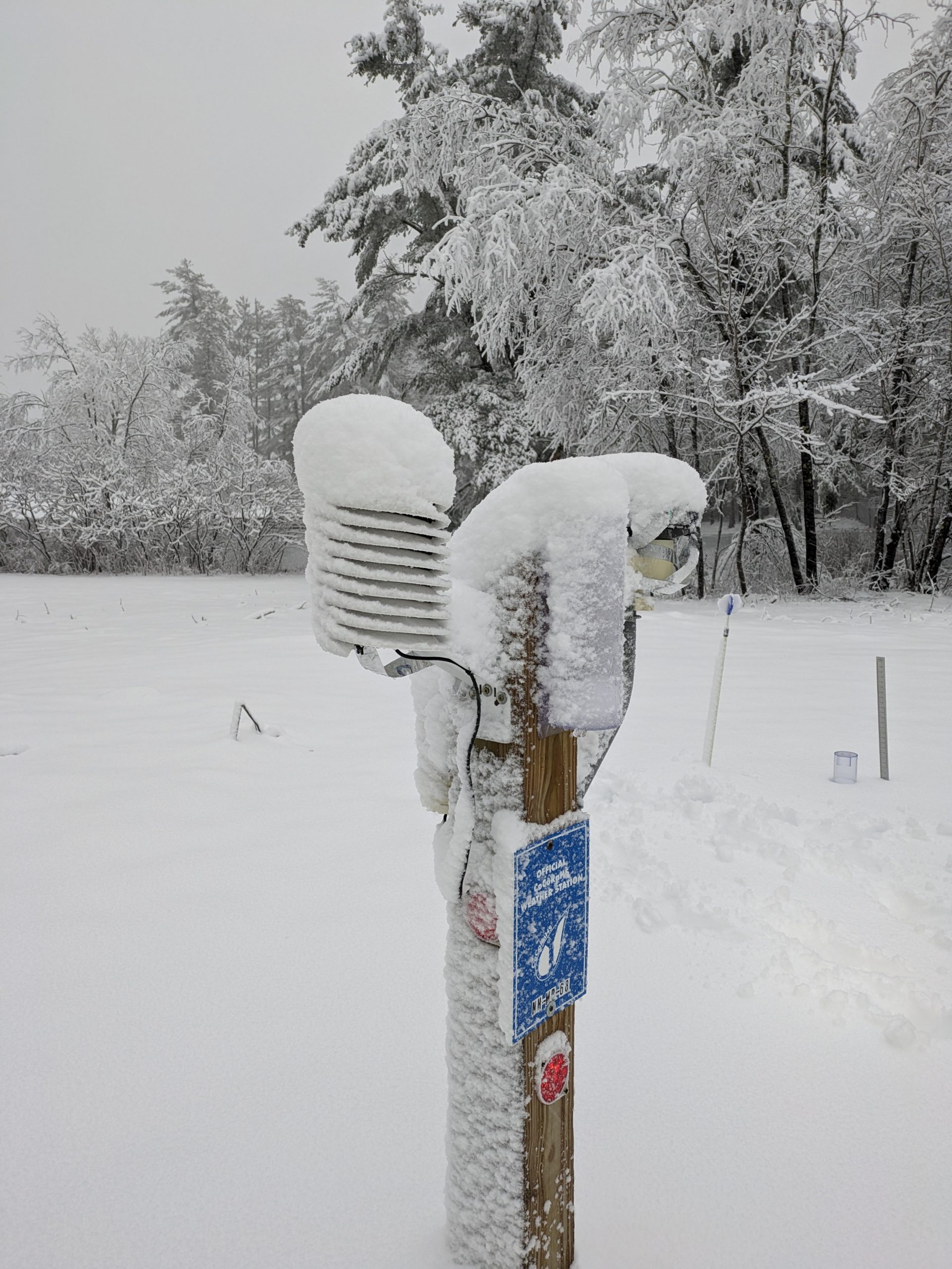 Snow covers the tops of weather instruments: Barani temperature shield, CoCoRaHS manual rain gauge and EcoWitt WH40 electromechanical rain gauge, mounted on an 8"x8" timber post with an "Official CoCoRaHS Station" sign on the post